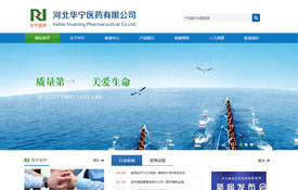 河北華寧醫藥有限公司