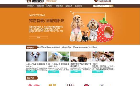 企業網站建設，網頁轉換系統的信息