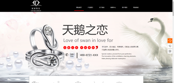 企業網站建設，視頻網站運營模式類別